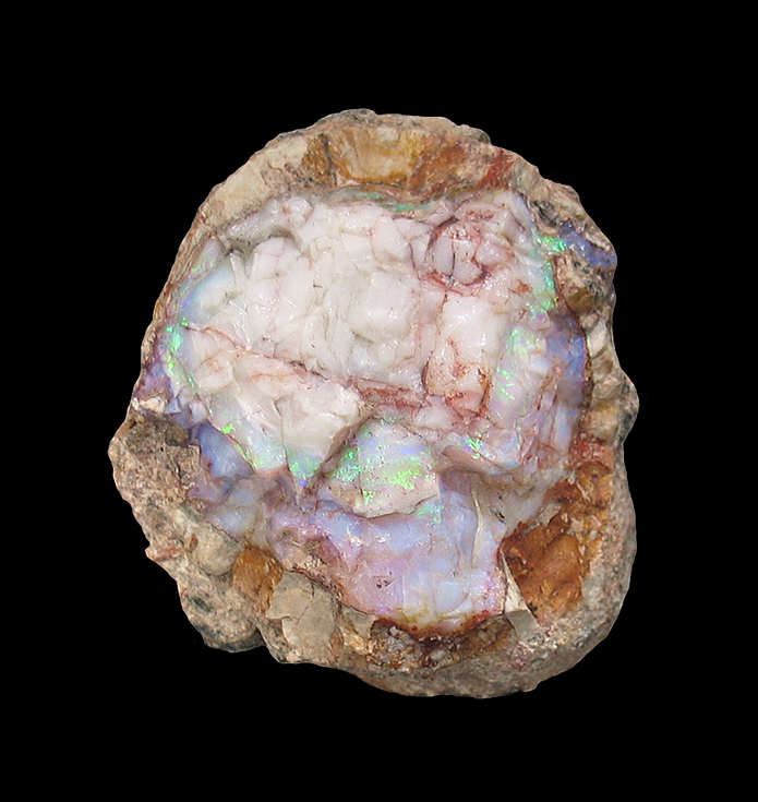 Cal Neva Mineral Company: Opal nodule, Spencer Opal Mine, Spencer